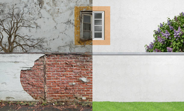 Professional Mold Removal in Bagdad, FL